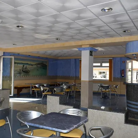 Vida Ostra Marina Sanxenxo