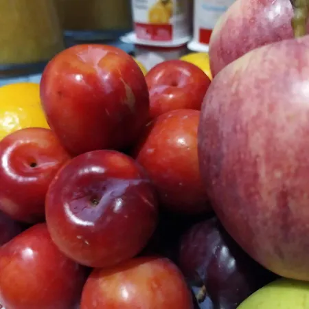 Vida Ostra Marina 2*