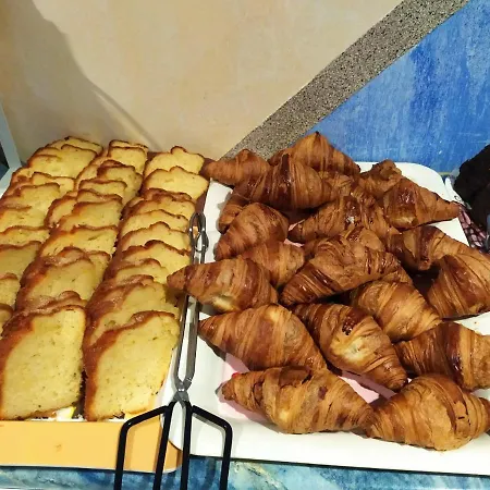 Vida Ostra Marina