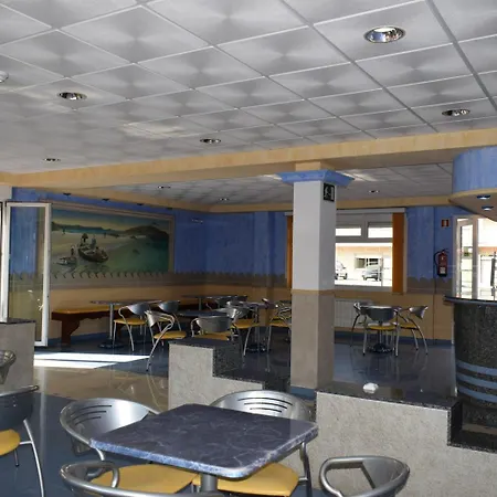 Vida Ostra Marina Sanxenxo