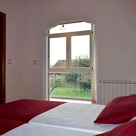 Vida Ostra Marina 2*