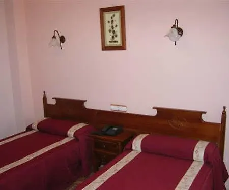 Vida Ostra Marina Sanxenxo