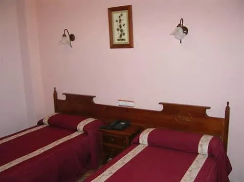Vida Ostra Marina Sanxenxo